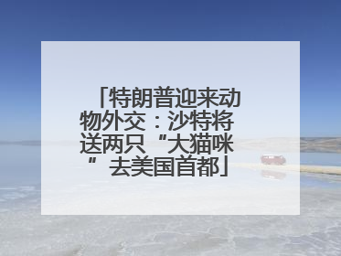 特朗普迎来动物外交：沙特将送两只“大猫咪”去美国首都