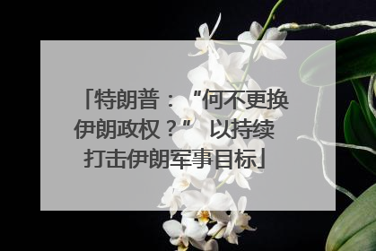 特朗普：“何不更换伊朗政权？” 以持续打击伊朗军事目标