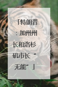 特朗普：加州州长和洛杉矶市长“无能”