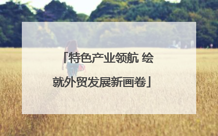 特色产业领航 绘就外贸发展新画卷