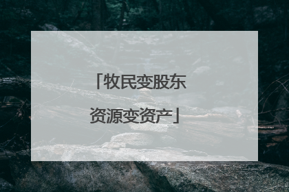 牧民变股东 资源变资产
