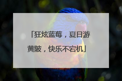 狂炫蓝莓，夏日游黄陂，快乐不宕机