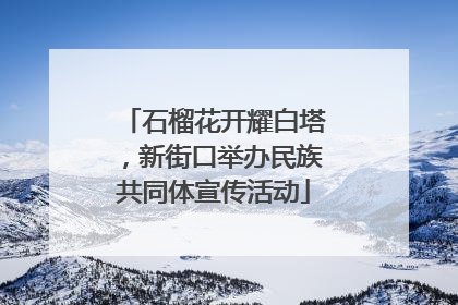 石榴花开耀白塔，新街口举办民族共同体宣传活动