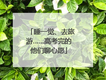 睡一觉、去旅游……高考完的他们聊心愿