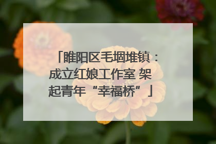 睢阳区毛堌堆镇：成立红娘工作室 架起青年“幸福桥”