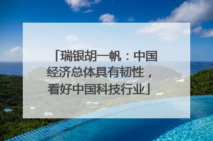 瑞银胡一帆：中国经济总体具有韧性，看好中国科技行业