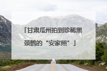 甘肃瓜州拍到珍稀黑颈鹤的“安家照”