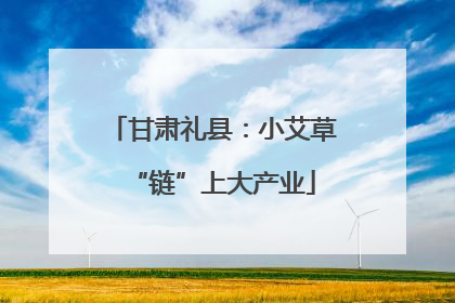 甘肃礼县：小艾草“链”上大产业