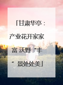 甘肃华亭：产业花开家家富 沃野“丰”景处处美