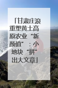 甘肃庄浪重塑黄土高原农业“新颜值”：小地块“拼”出大文章