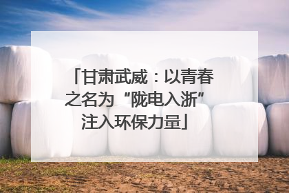 甘肃武威：以青春之名为“陇电入浙”注入环保力量