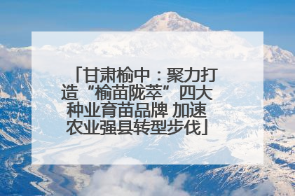 甘肃榆中：聚力打造“榆苗陇萃”四大种业育苗品牌 加速农业强县转型步伐