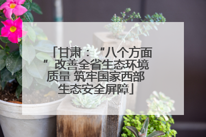 甘肃：“八个方面”改善全省生态环境质量 筑牢国家西部生态安全屏障