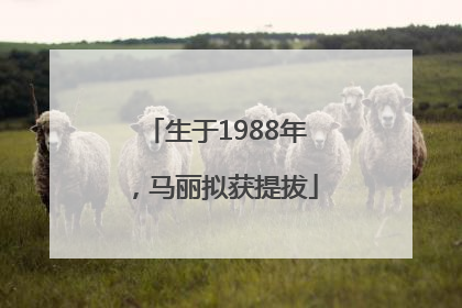 生于1988年，马丽拟获提拔