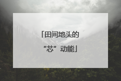 田间地头的“芯”动能