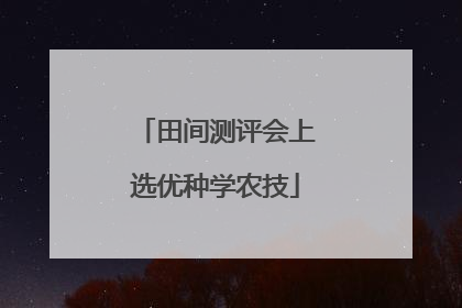田间测评会上选优种学农技