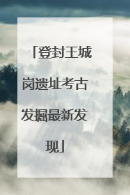 登封王城岗遗址考古发掘最新发现