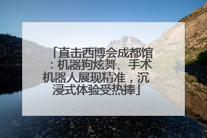 直击西博会成都馆：机器狗炫舞、手术机器人展现精准，沉浸式体验受热捧