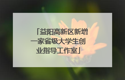 益阳高新区新增一家省级大学生创业指导工作室