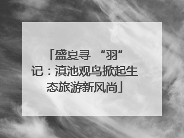 盛夏寻 “羽” 记：滇池观鸟掀起生态旅游新风尚