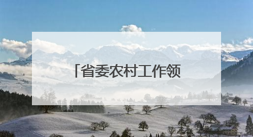 省委农村工作领导小组会议召开