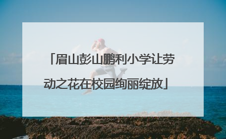 眉山彭山鹏利小学让劳动之花在校园绚丽绽放