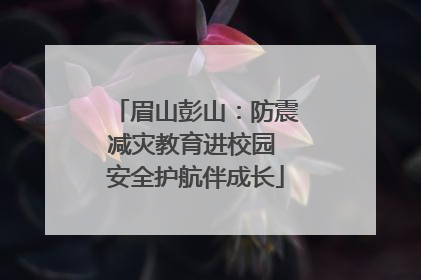 眉山彭山：防震减灾教育进校园 安全护航伴成长