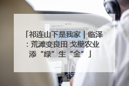 祁连山下是我家｜临泽：荒滩变良田 戈壁农业添“绿”生“金”