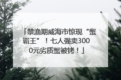 禁渔期威海市惊现“蟹霸王”！七人强卖3000元劣质蟹被铐！