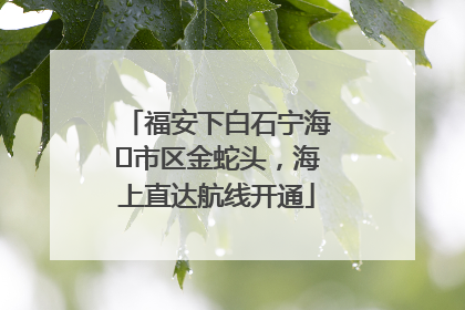 福安下白石宁海⇆市区金蛇头，海上直达航线开通