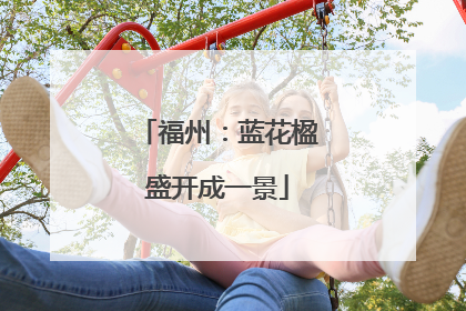 福州：蓝花楹盛开成一景