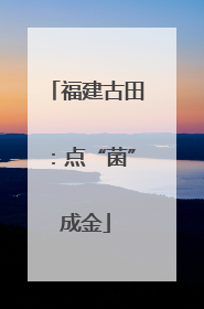 福建古田：点“菌”成金
