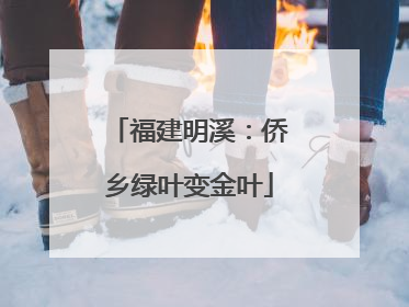 福建明溪：侨乡绿叶变金叶