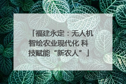 福建永定：无人机智绘农业现代化 科技赋能“新农人”