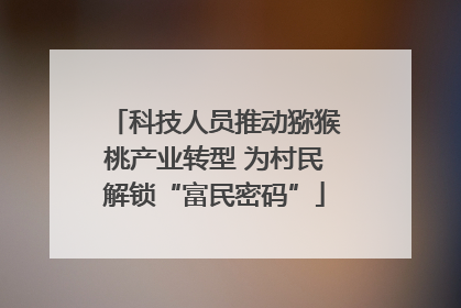 科技人员推动猕猴桃产业转型 为村民解锁“富民密码”