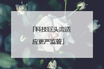 科技巨头需适应更严监管