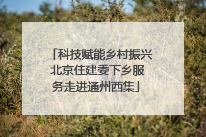 科技赋能乡村振兴 北京住建委下乡服务走进通州西集