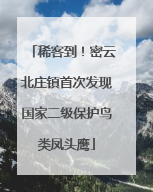 稀客到！密云北庄镇首次发现国家二级保护鸟类凤头鹰