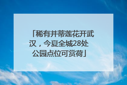 稀有并蒂莲花开武汉，今夏全城28处公园点位可赏荷