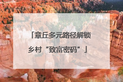 章丘多元路径解锁乡村“致富密码”