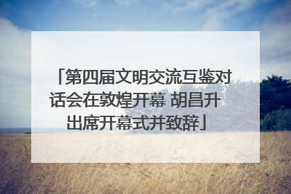 第四届文明交流互鉴对话会在敦煌开幕 胡昌升出席开幕式并致辞
