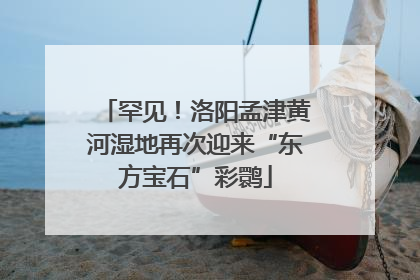 罕见！洛阳孟津黄河湿地再次迎来“东方宝石”彩鹮