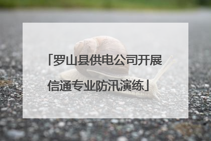 罗山县供电公司开展信通专业防汛演练
