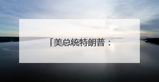 美总统特朗普：加州州长和洛杉矶市长“无能”