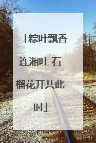 粽叶飘香连湘吐 石榴花开共此时