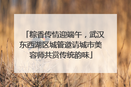 粽香传情迎端午，武汉东西湖区城管邀请城市美容师共赏传统韵味