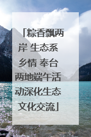 粽香飘两岸 生态系乡情 奉台两地端午活动深化生态文化交流