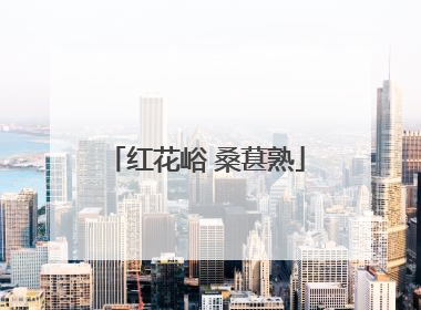 红花峪 桑葚熟