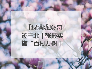 绿满陇原·奇迹三北｜张掖实施“百村万树千里林”工程