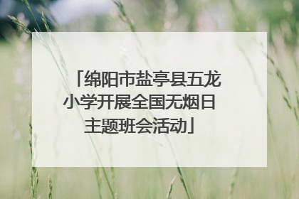 绵阳市盐亭县五龙小学开展全国无烟日主题班会活动